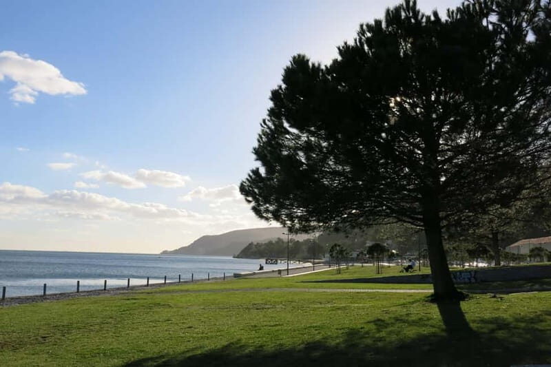Setúbal: Private Walking Tour with Tastings - The Sum Up