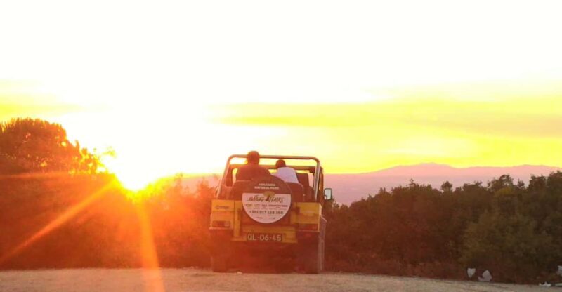 Setúbal: Romantic Picnic Sunset Wine Experience - An In-Depth Look at the Sunset Picnic Experience