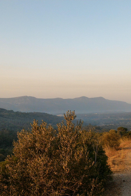 Setúbal: Romantic Picnic Sunset Wine Experience - Frequently Asked Questions