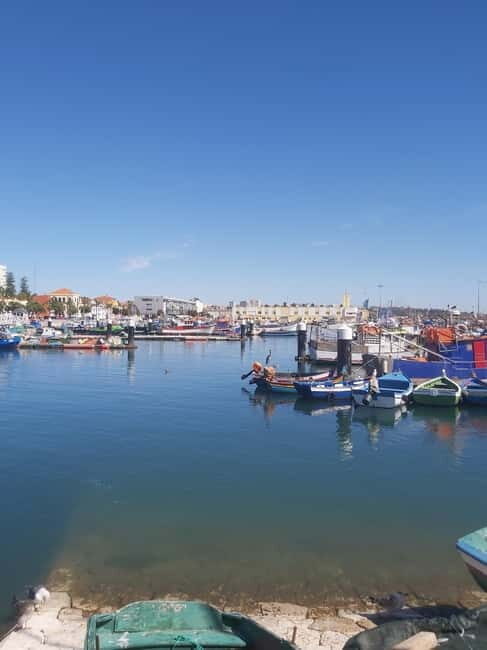 Setúbal Secrets& Arrabida Mountain Magic: FromLisbon|PRIVATE - Who Will Love This Tour?