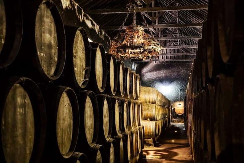 Setúbal Wine Tour: Discover the Moscatel Wine - Key Points