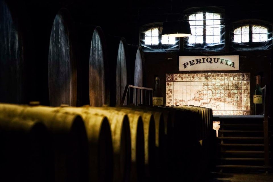 Setúbal Wine Tour: Discover the Moscatel Wine - Lunch in Setúbal Region