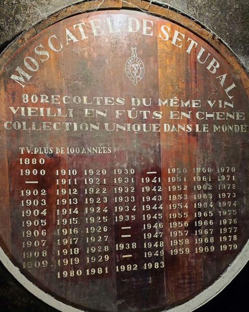 Setúbal Wine Tour: Discover the Moscatel Wine - José Maria Da Fonseca Winery