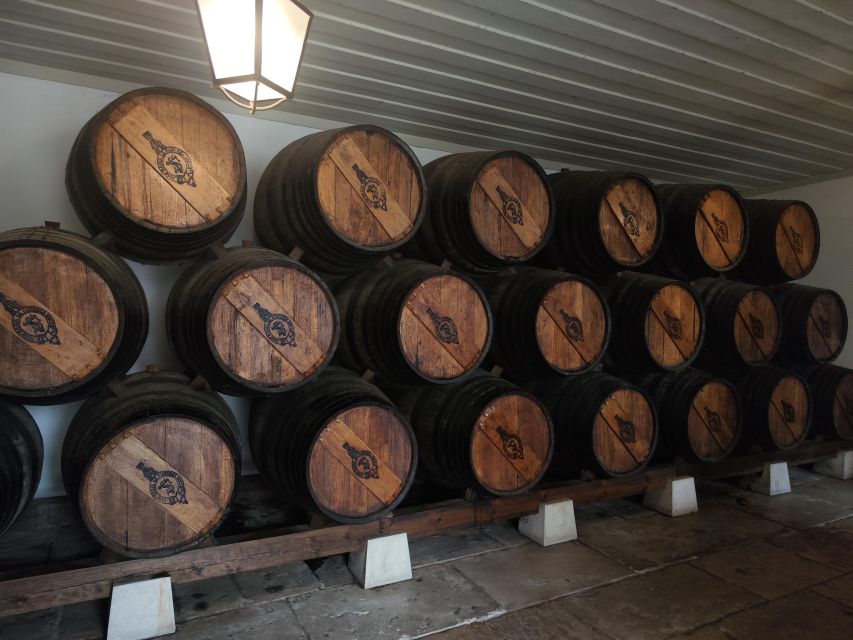Setúbal Wine Tour: Discover the Moscatel Wine - Tasting Periquita Wine
