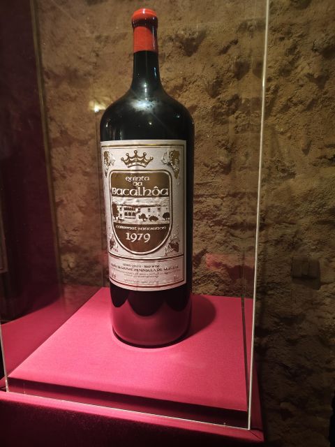 Setúbal Wine Tour: Discover the Moscatel Wine - Pickup and Drop-off Locations