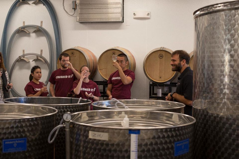 Seven Birches Winery - Meet the Winemakers Winery Tour - Highlights of the Tour