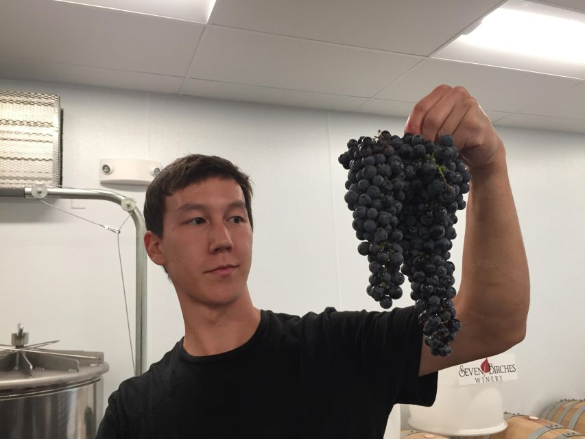 Seven Birches Winery - Meet the Winemakers Winery Tour - Tour Policies