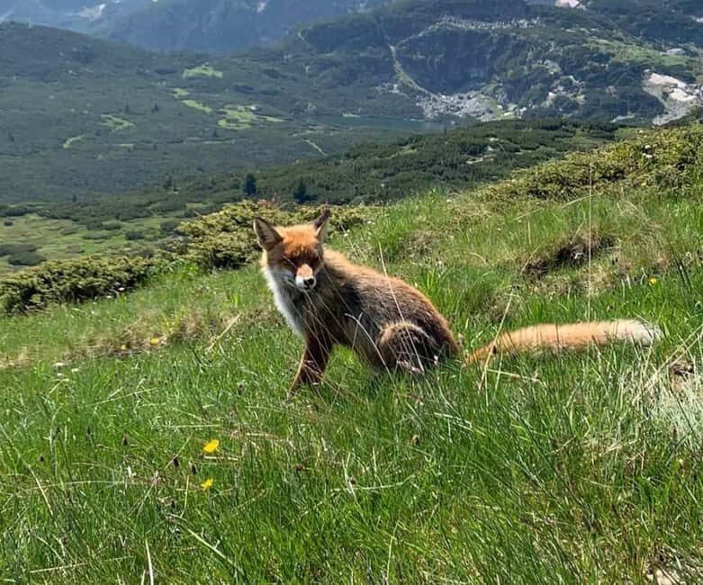 Seven Rila Lakes - Full Day Hiking Trip in the Rila Mountain - Practical Tips for a Great Experience