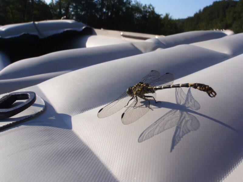 Severin na Kupi: Canoeing and Kayaking on the Kupa River - FAQ