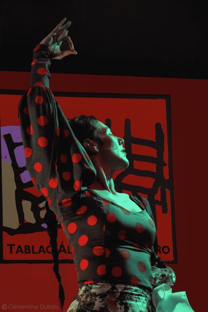 Sevilla: Flamenco Show at Tablao Álvarez Quintero - A Deep Dive into the Flamenco Experience
