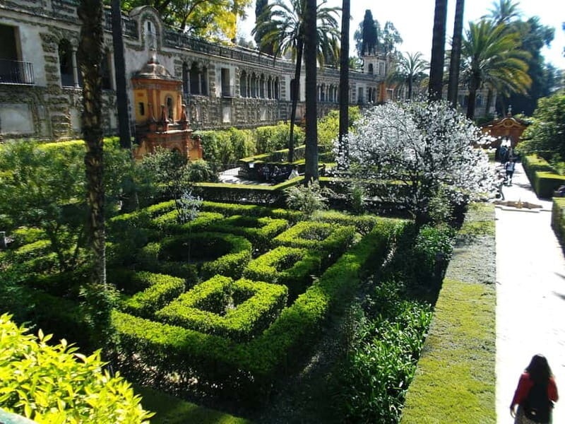 Sevilla Full-Day trip from Granada - Transportation and Group Size