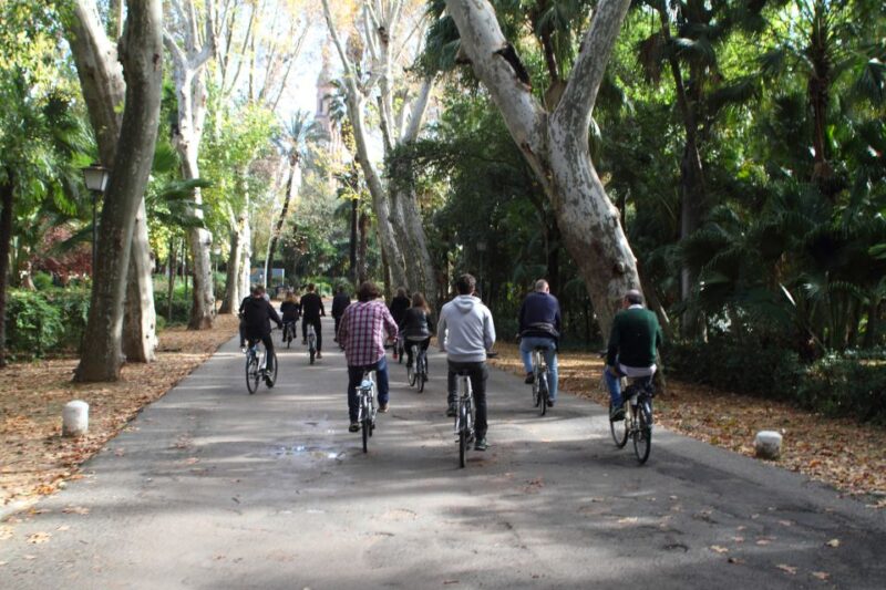 Seville: 1-Day Bike Rental - Service Overview