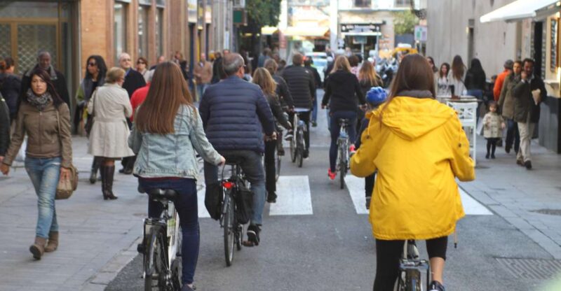 Seville: 1-Day Bike Rental - Rental Details