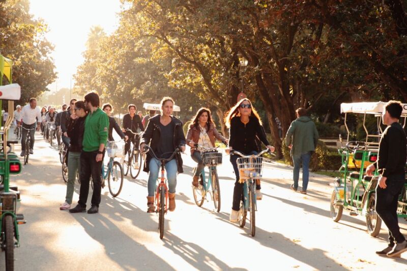 Seville: 1-Day Bike Rental - Meeting Location