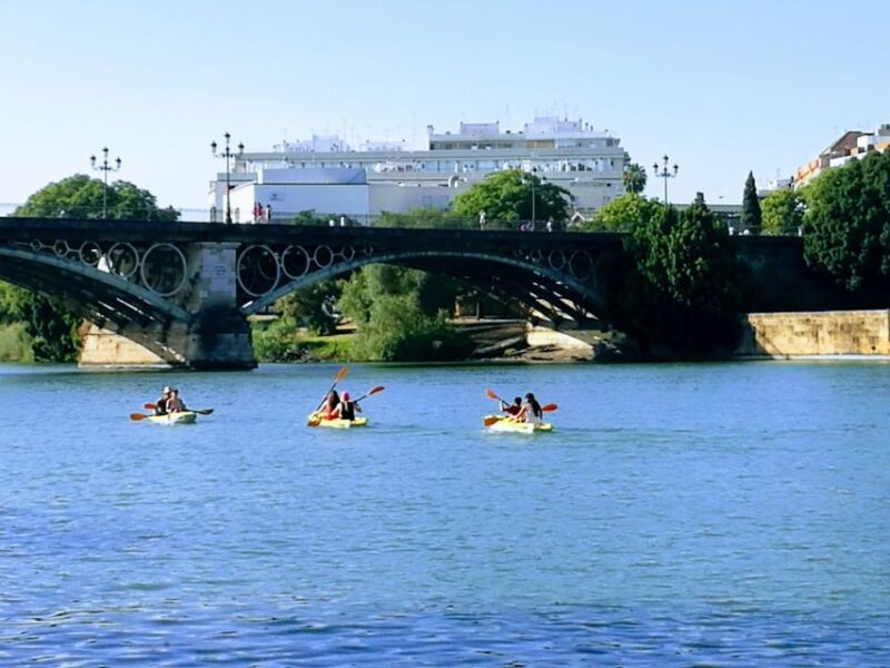 Seville: 2–Hour Guadalquivir River Kayaking Tour - Participant Information