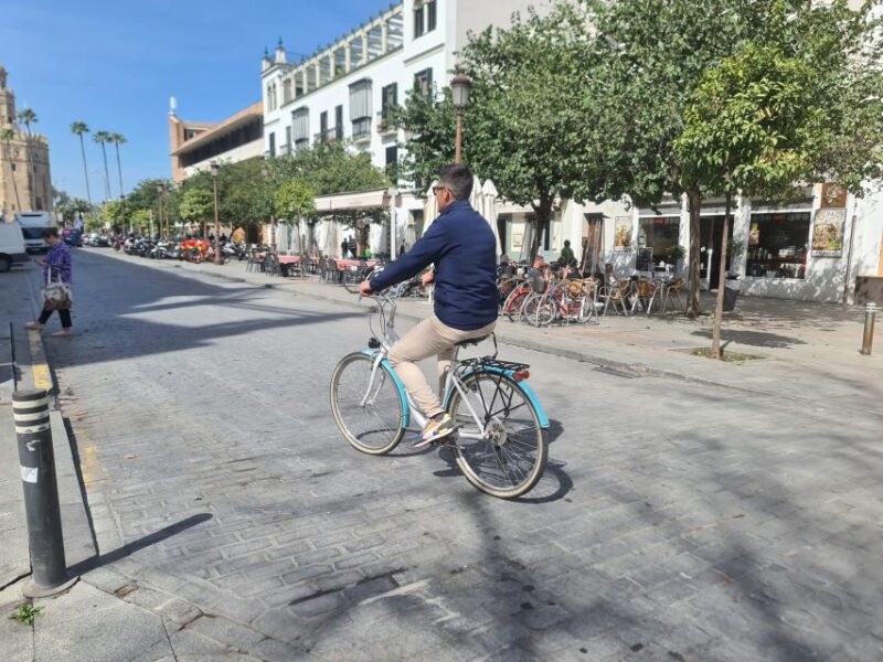Seville: All Day Bike Rental - Highlights of the Experience