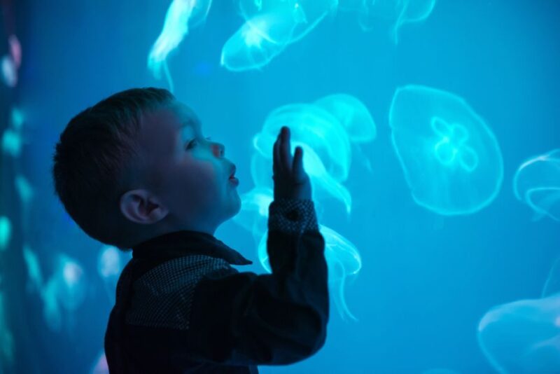 Seville Aquarium Admission Ticket - Aquarium Overview