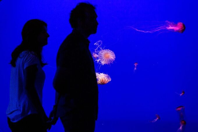Seville Aquarium Admission Ticket - Ticket Cancellation and Refund