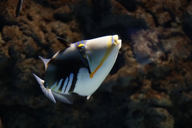 Seville Aquarium Admission Ticket - Transportation Options