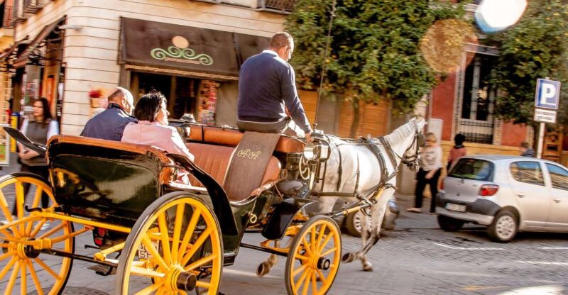 Seville: Authentic and Romantic Horse-Drawn Carriage Ride - Family-Friendly Delight