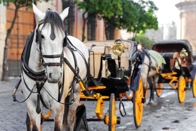 Seville: Authentic and Romantic Horse-Drawn Carriage Ride - Immersive Storytelling and Historical Context