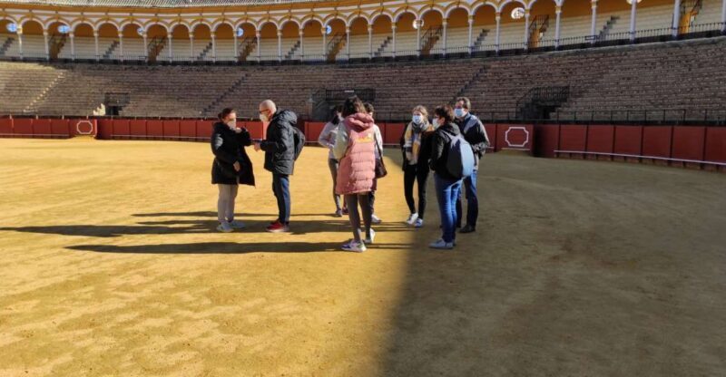Seville: Bullring Guided Tour with a Skip-the-Line Ticket - Practical Tips for Your Visit