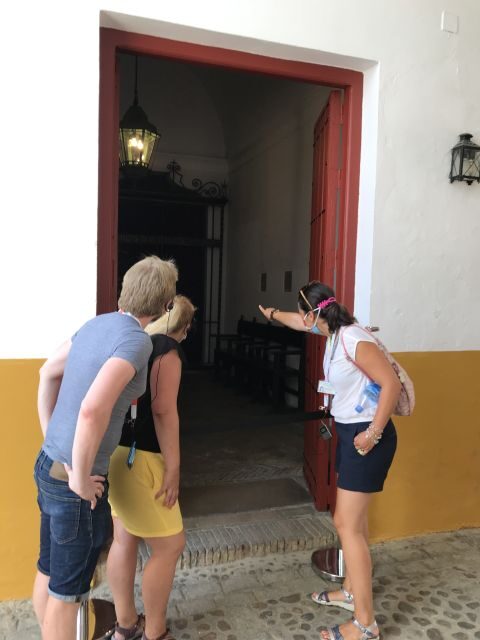 Seville: Bullring Guided Tour with a Skip-the-Line Ticket - Final Thoughts