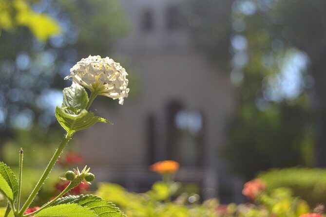 Seville Cartuja Monastery private visit - Key Points