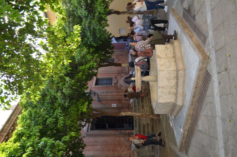 Seville: Cathedral Guided Tour W/ VR City Tour & Roof Lunch - Virtual Reality City Tour