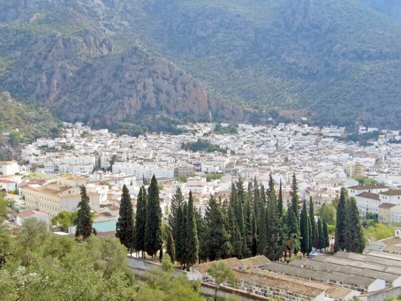 Seville: Day Trip to White Towns of Andalusia - Tour Highlights