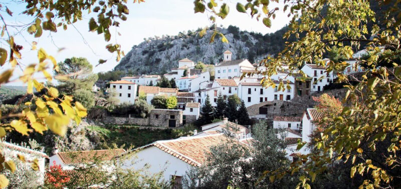 Seville: Day Trip to White Towns of Andalusia - Additional Information