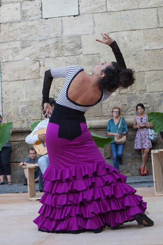 Seville: Enjoy a class of approach to flamenco - The Value and Practicalities