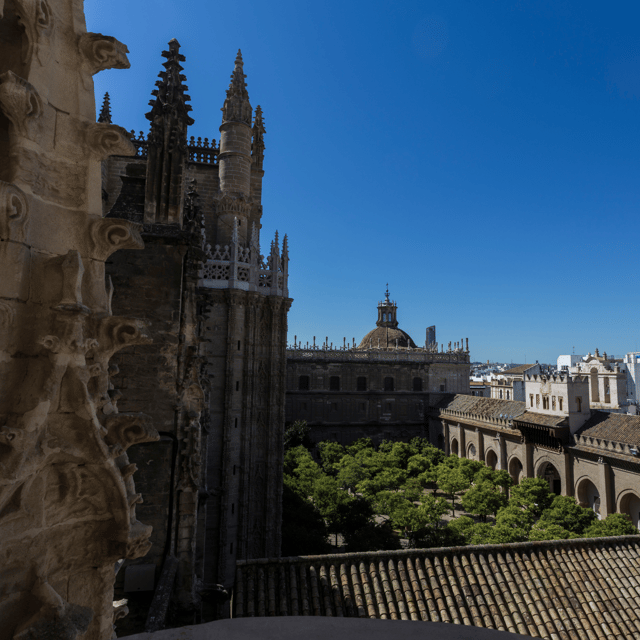 Seville: Fast Track Cathedral Giralda Tower Last Minute Tour - Important Considerations
