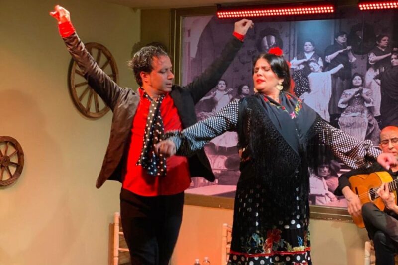 Seville: Flamenco Show at Tablao La Cantaora - Good To Know