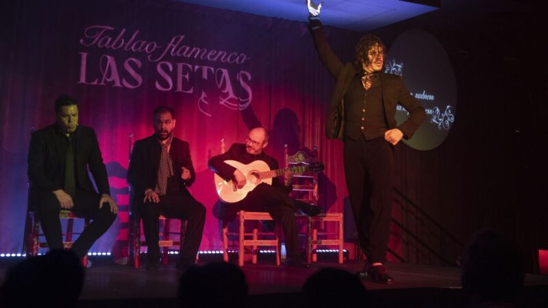 Seville: Flamenco Show & Roof Dinner With Cathedral Views - Flamenco Show Experience