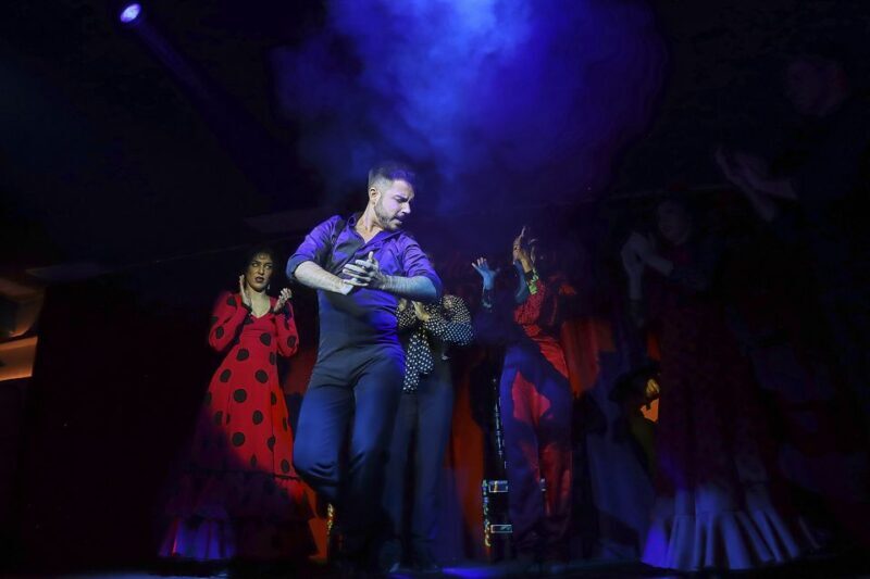Seville: Flamenco Show Ticket at Tablao Flamenco Las Setas - An In-Depth Look at the Flamenco Experience
