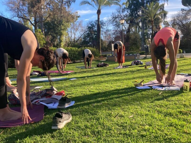 Seville: Group Yoga classes All levels - in French - An In-Depth Look at the Yoga Experience in Seville