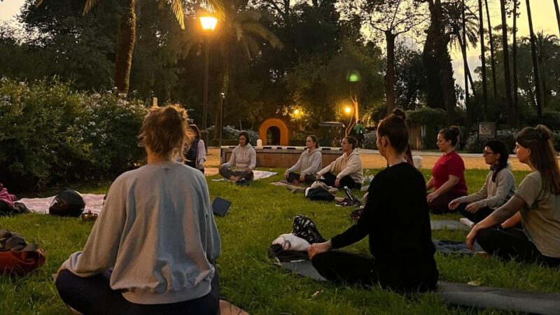 Seville: Group Yoga Classes All Levels - Class Features