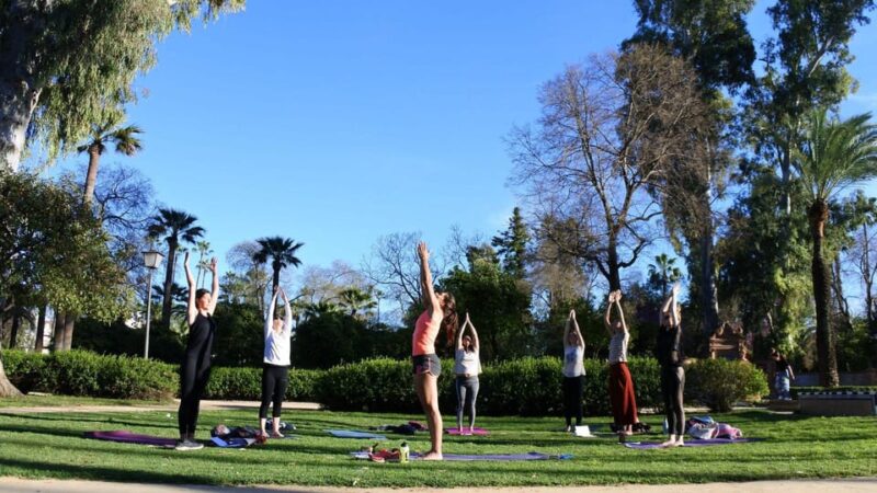 Seville: Group Yoga Classes All Levels - Testimonials From Past Participants