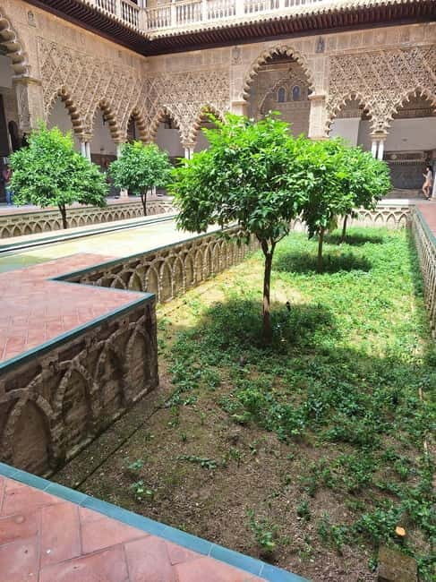 Seville: Guided visit to the Alcázar, Cathedral and Giralda - Practical Tips for the Tour