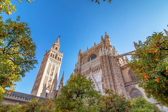 Seville Highlights in One Day by AVE High Speed Train From Madrid - Group Size and Accessibility