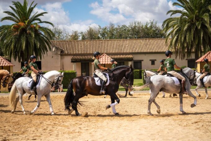 Seville: Horse Show Entry Ticket. Optional Stud Farm Visit - The TRADITIONS Show Finale