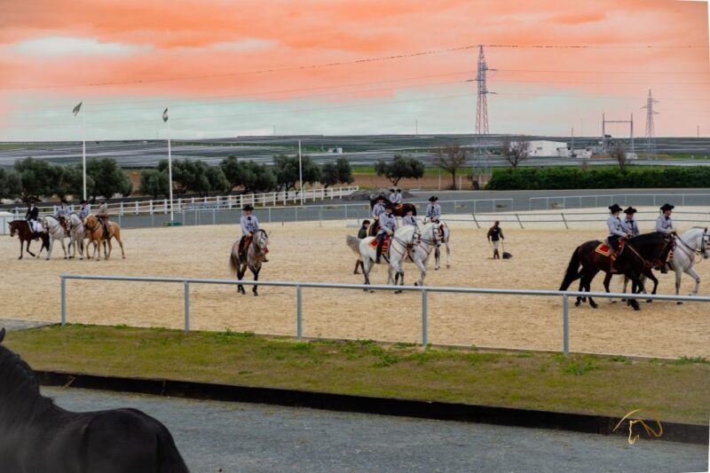 Seville: Horse's Show Entry Ticket. Optional Stud Farm Visit - Key Points