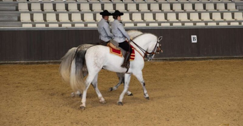 Seville: Horse's Show Entry Ticket. Optional Stud Farm Visit - Final Thoughts: The Value of a Horse Show in Seville
