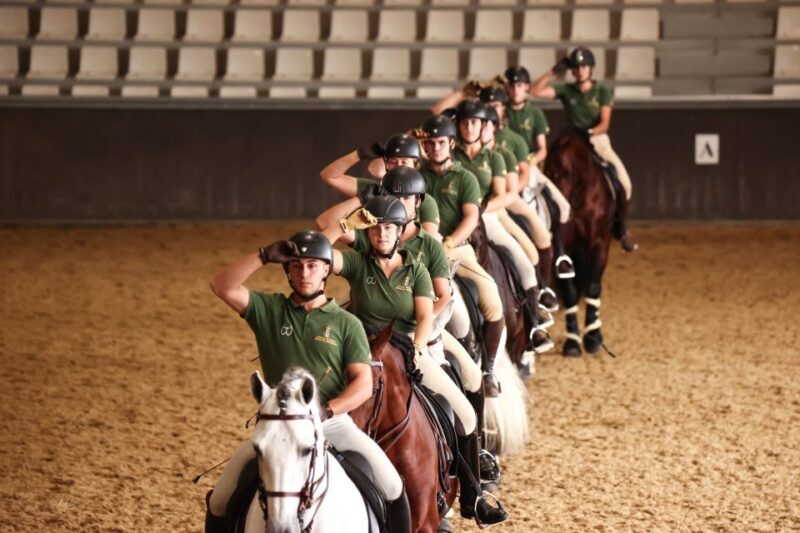 Seville: Horse's Show Entry Ticket. Optional Stud Farm Visit - FAQs