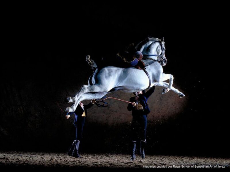 Seville: Jerez, Cadiz Wine Tasting With Optional Horse Show - Equestrian Show
