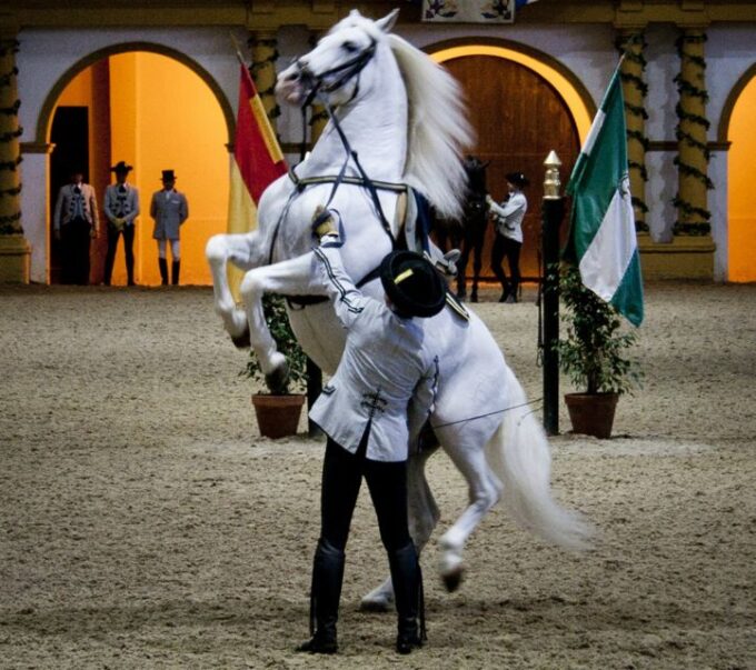 Seville: Jerez, Cadiz Wine Tasting With Optional Horse Show - Customer Feedback