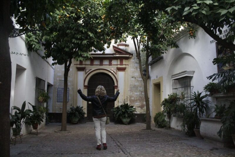 Seville Jewish Heritage Tour - Explore Santa Cruz Neighborhood