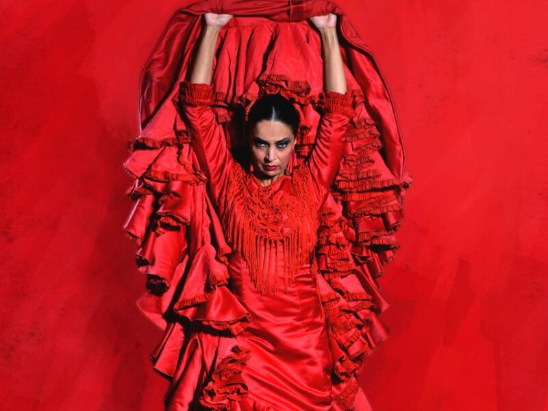 Seville: Live Flamenco Dancing Show Ticket at the Theater - Good To Know