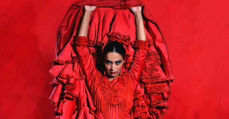 Seville: Live Flamenco Dancing Show Ticket at the Theater - Performance Highlights